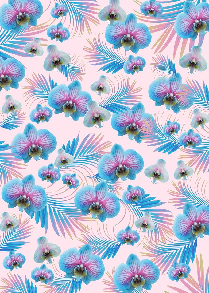 Orchid Palm Leaves Dream 1