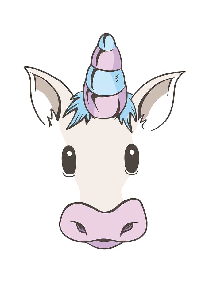 Cute Unicorn magical Gift