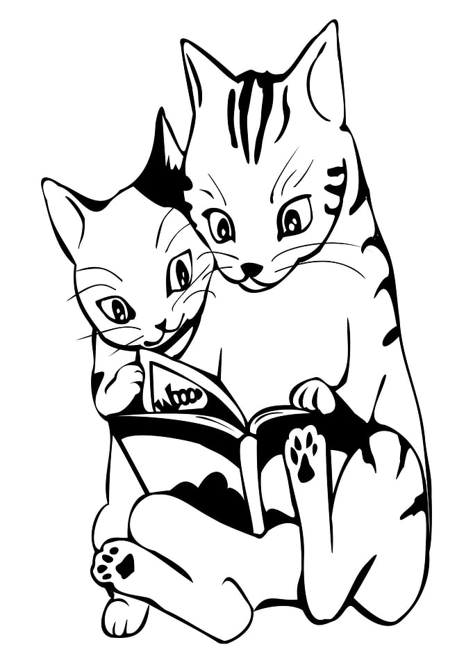 two cat reading
