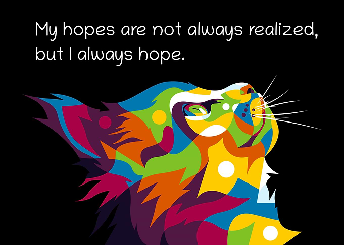 Hopeful Cat