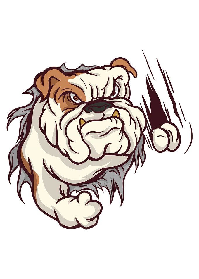ANGRY BULLDOG
