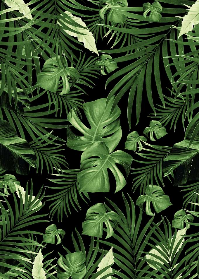 Jungle Night Leaves 5