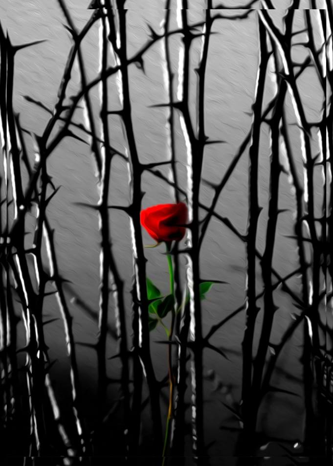 Grow Through