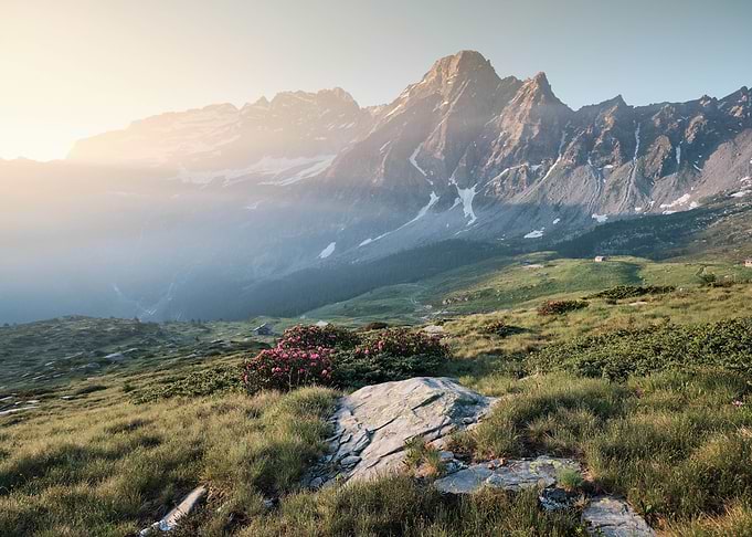 Mountains