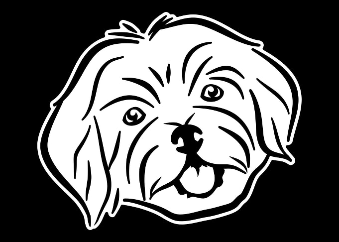 Maltese
