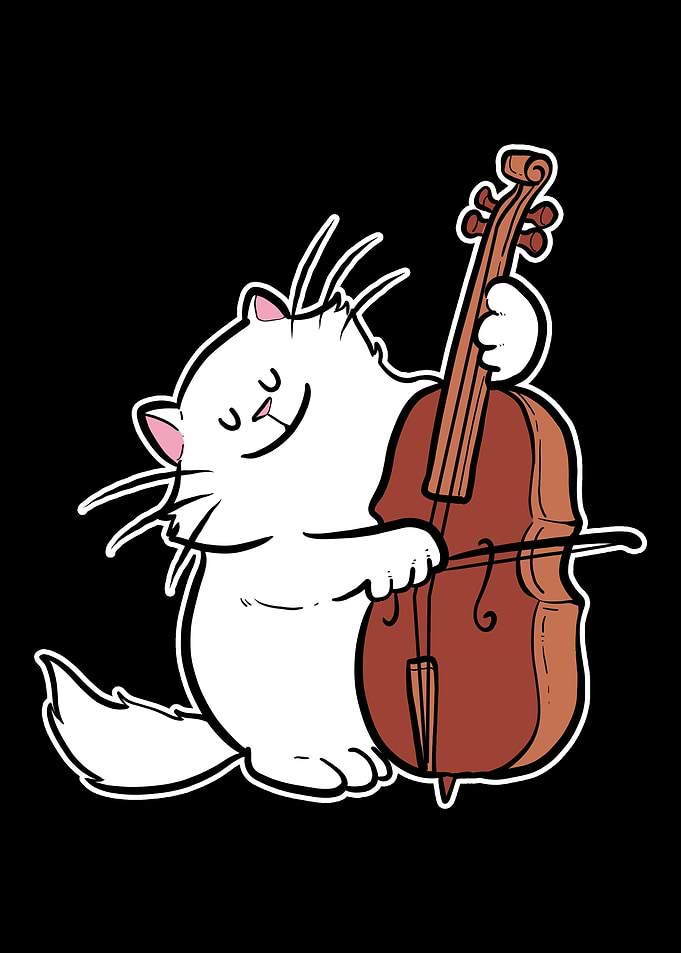 Cat Orchestra Cello Musici