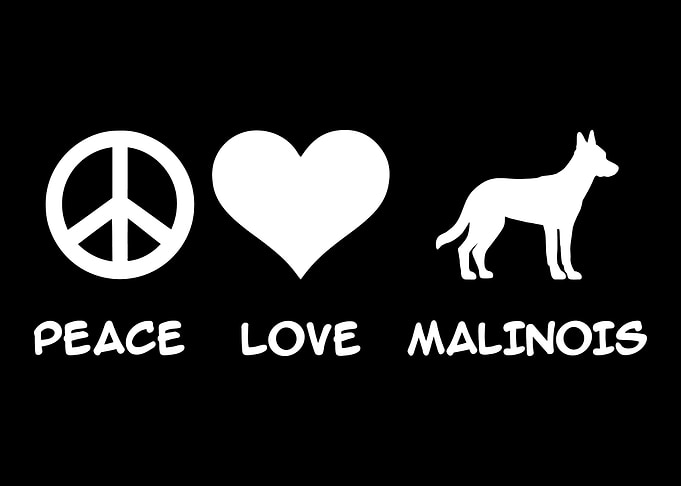 Malinois