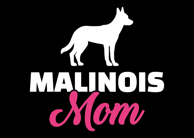 Malinois