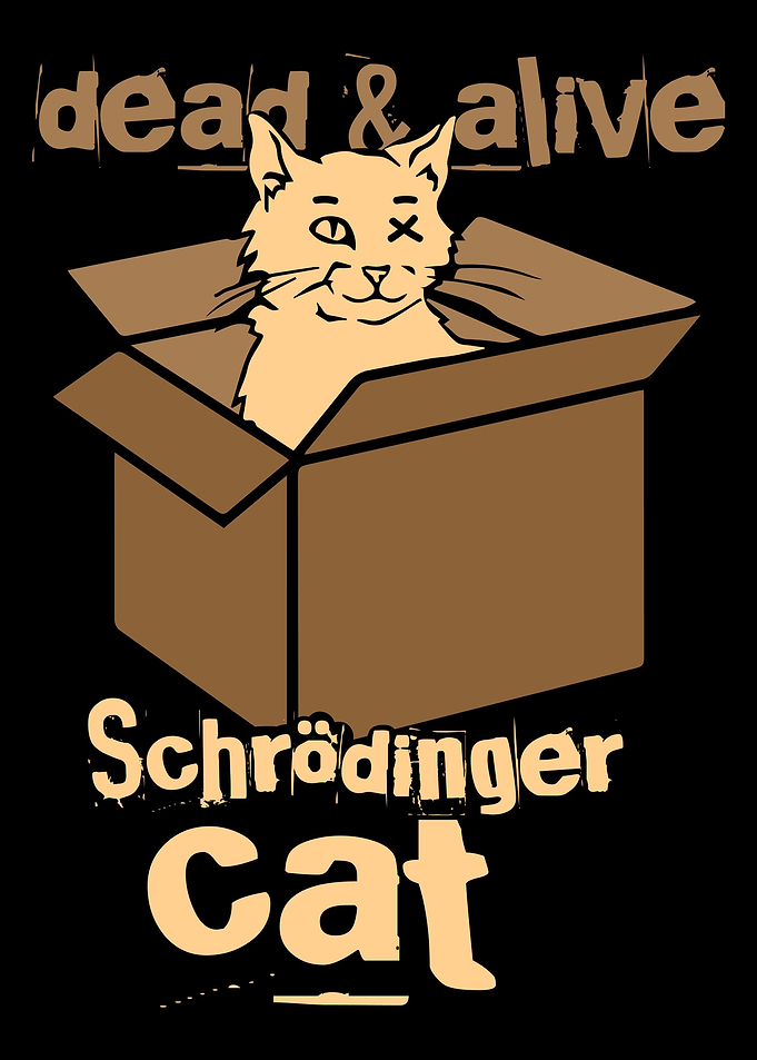 Schrdinger Cat science