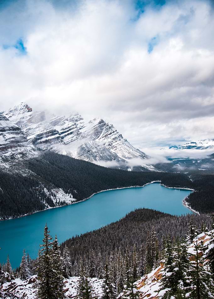 Wintry Peyto Lake