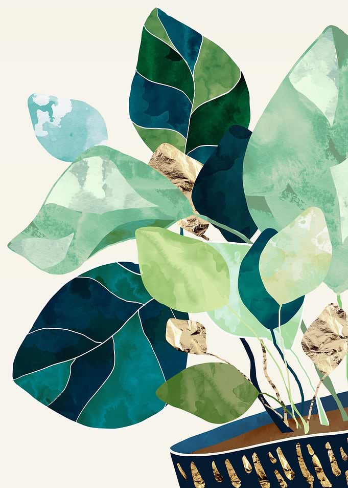 Indigo Plant II
