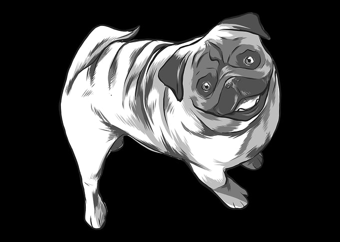 cute dog gift