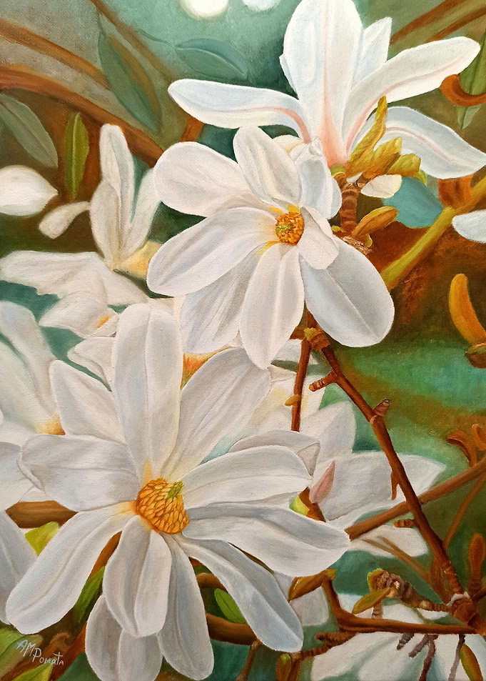 Magnolias