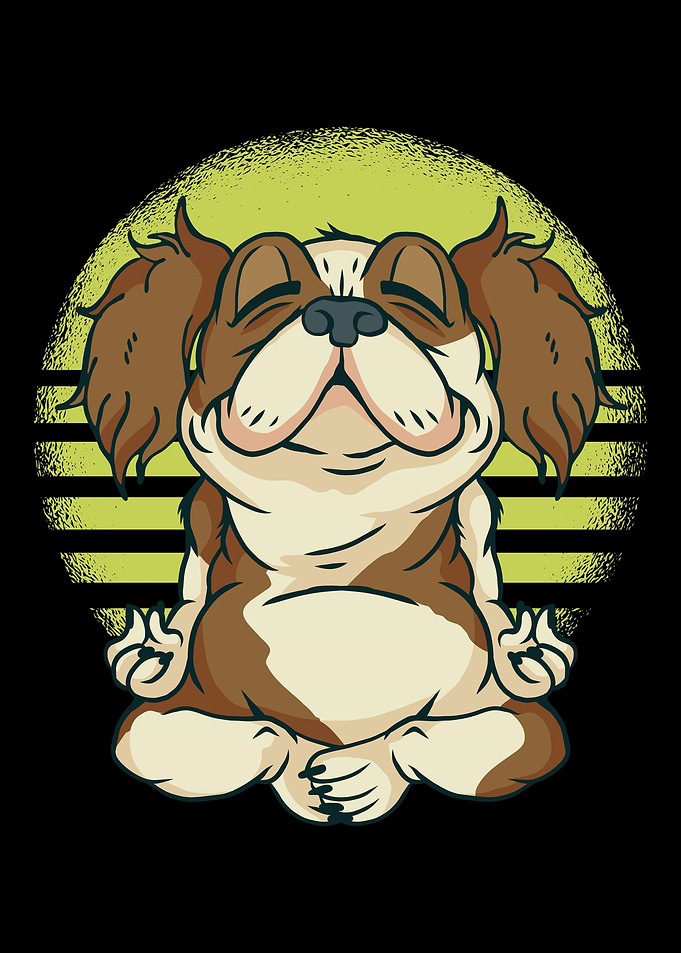 Spaniel gift