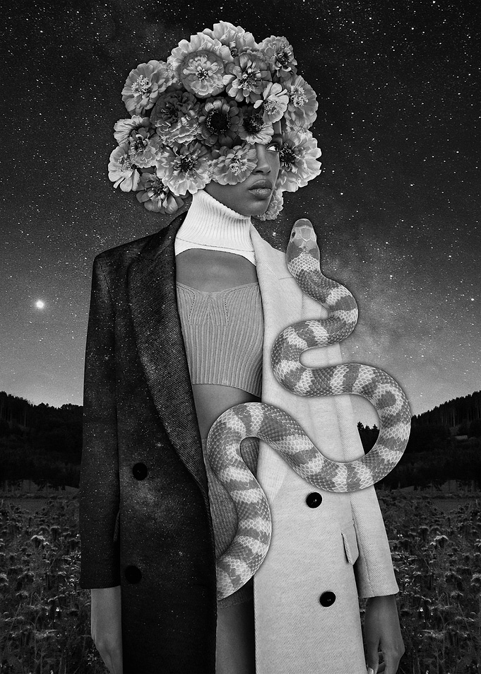 Snake Fairy