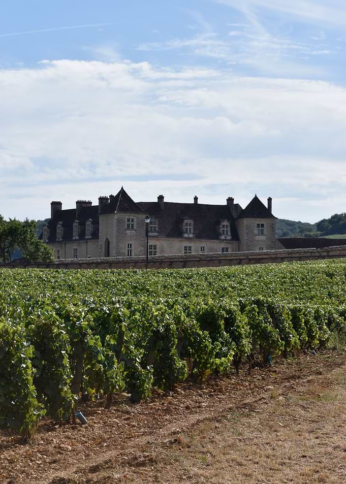 Chateau du Clos Vougeot