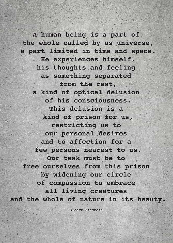 Albert Einstein Quote L059