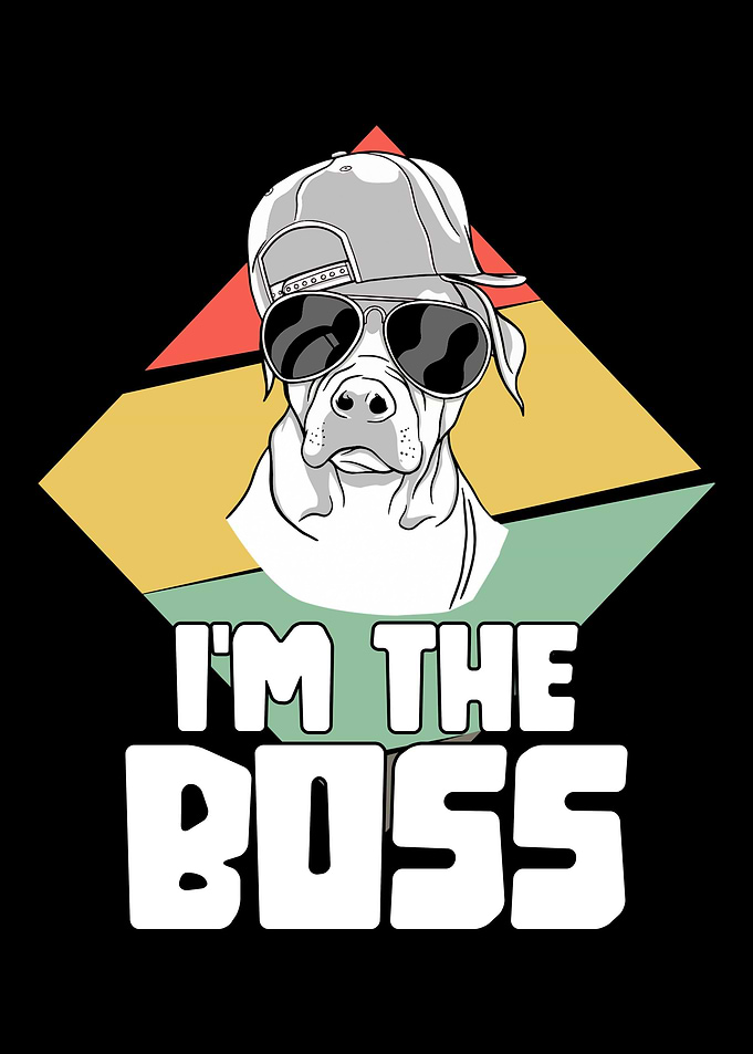 Im the boss Pitbull dog
