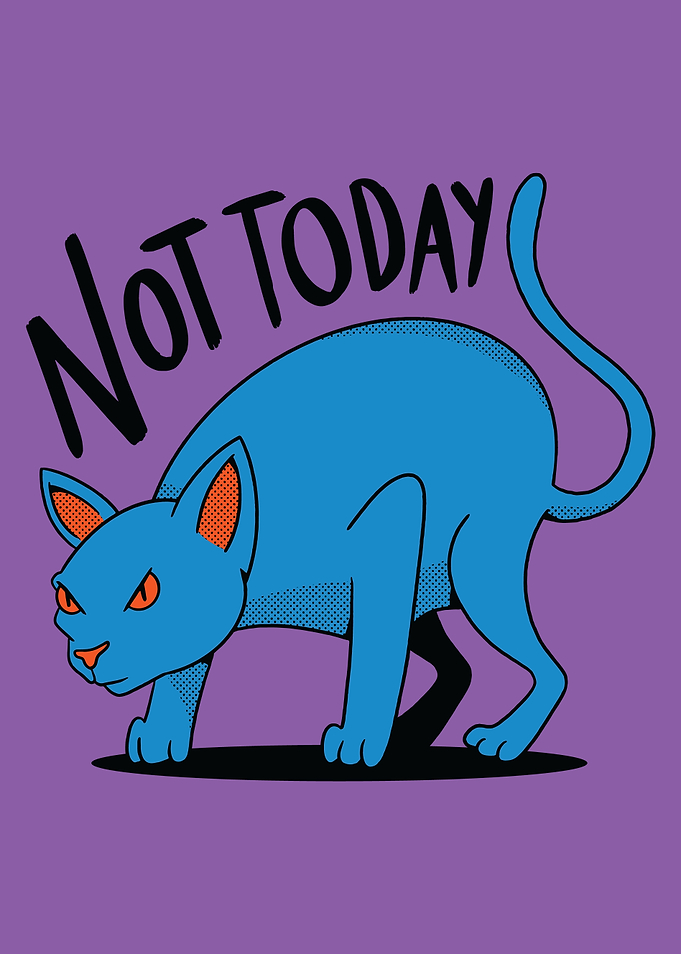 Not Today Angry Cat