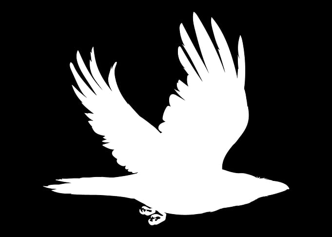 Bird gift