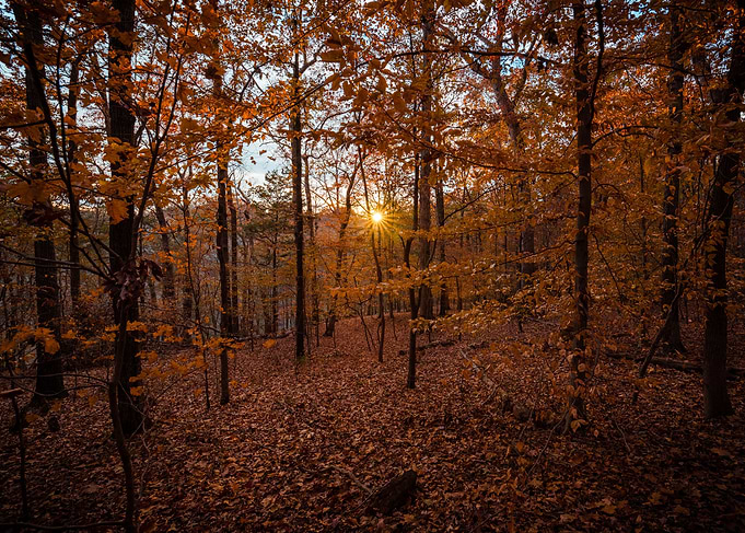 Beautiful Fall Colors