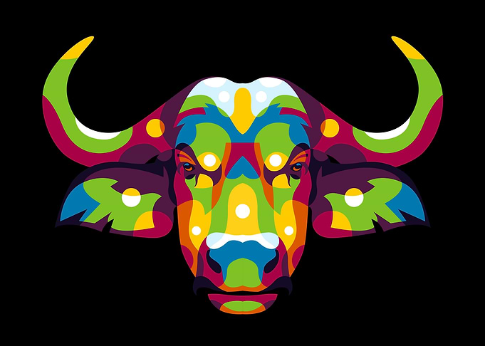 Africa Buffalo