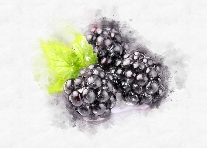 blackberry