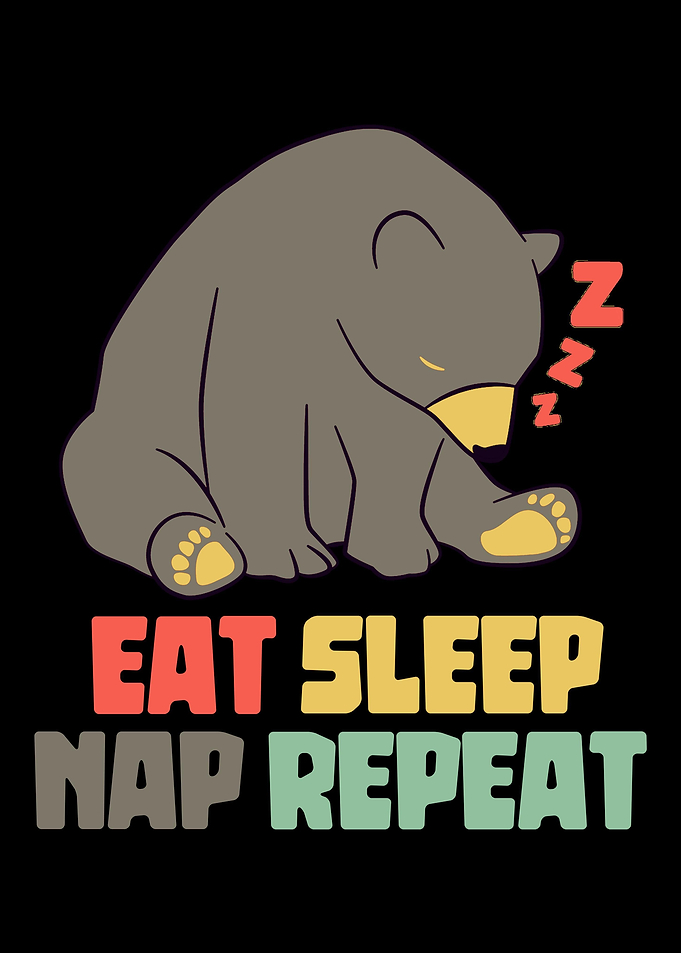 Eat Sleep Nap Repeat Bear