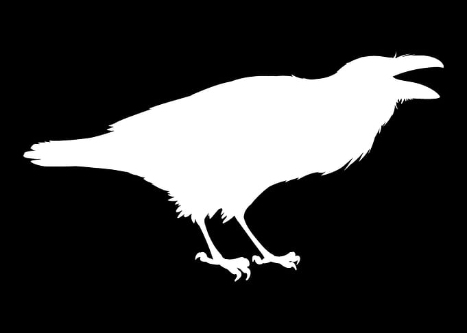 Bird gift