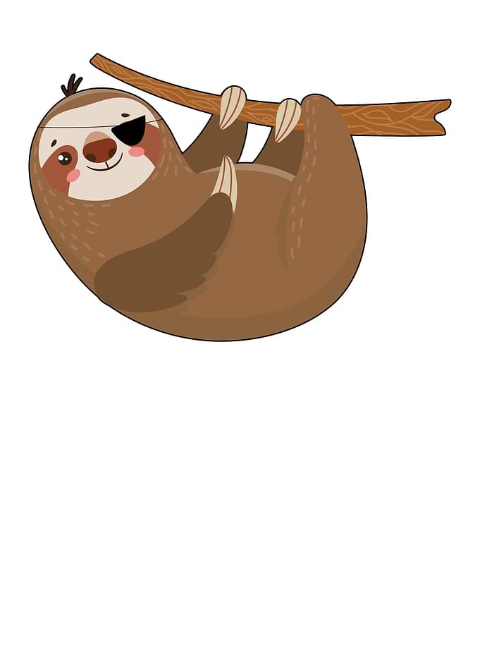 ThreeToed Sloth Eye Patch