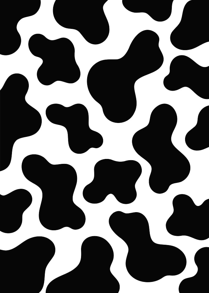 Moo Moo Cow