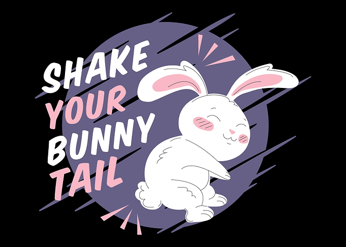 Disco bunny gift