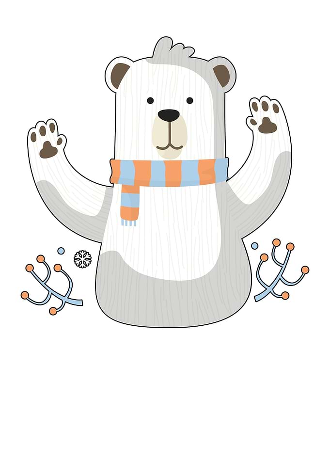 Bear Arctic Floe Alaska