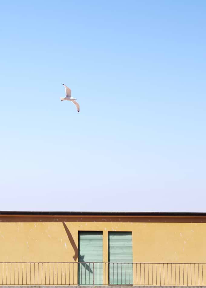 Flying By