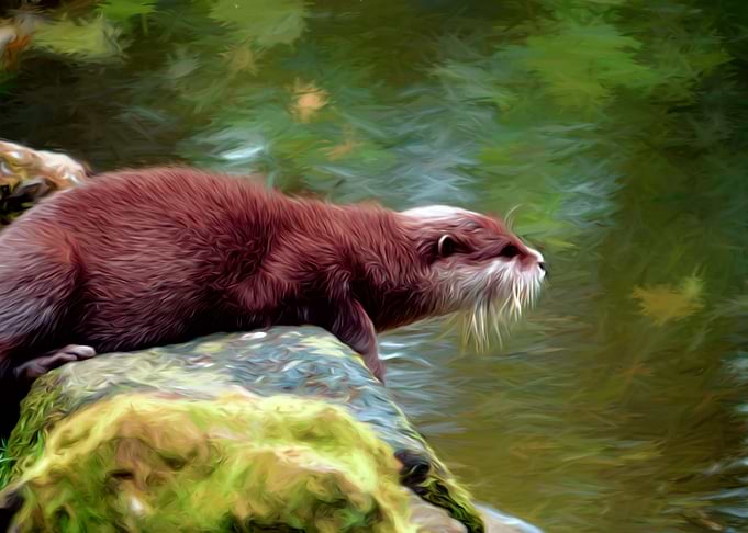 Otter Lake