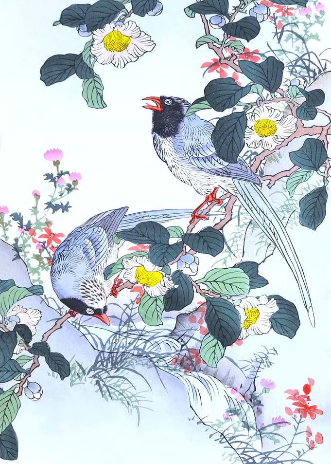 Rosa Laevigata And Magpies