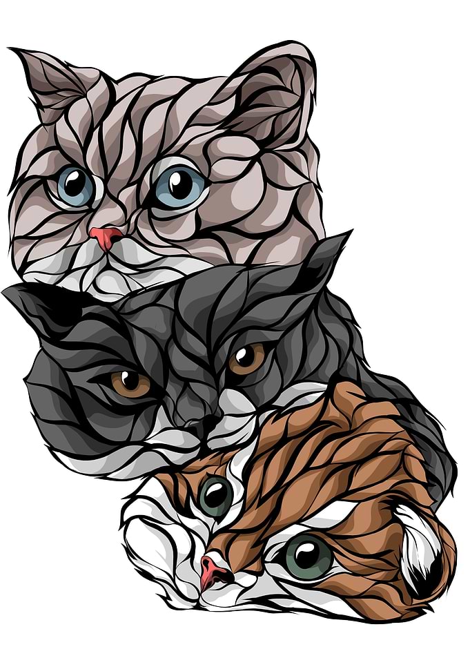 3 funny cat