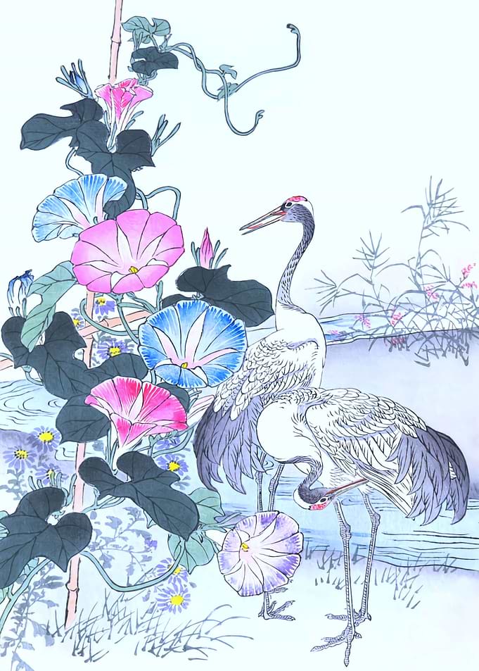 Cranes And Morning Glory