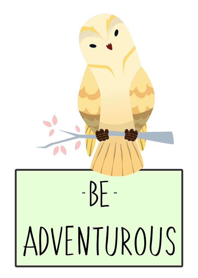 BE ADVENTUROUS OWL