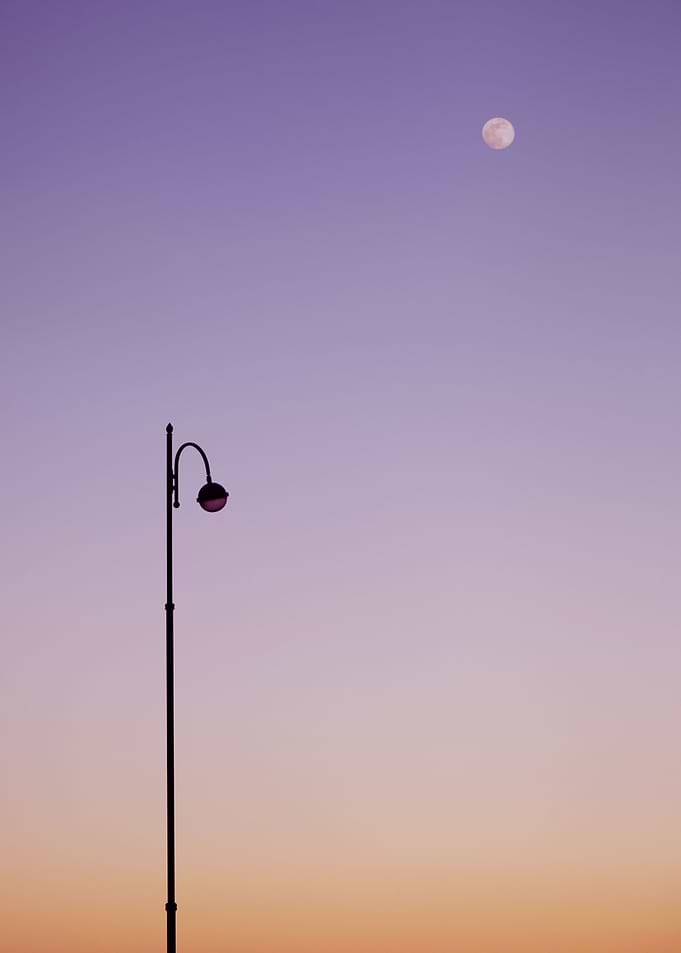 Moonlight