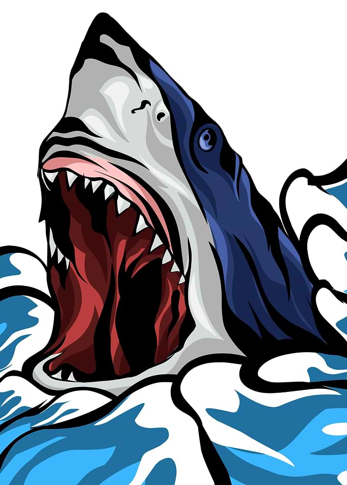shark