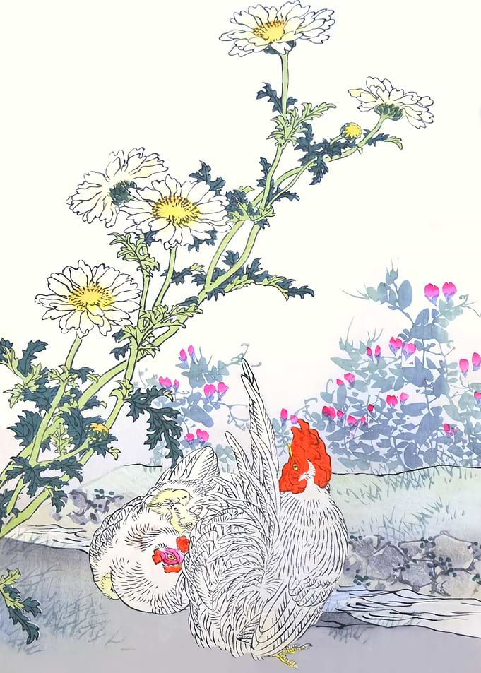 Chicken And Chamomile