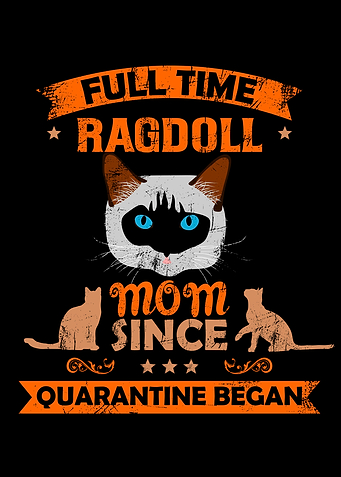 Ragdoll mom
