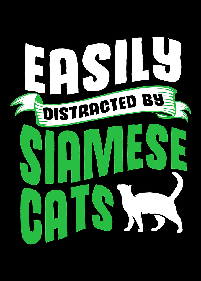 Funny Siamese Cat