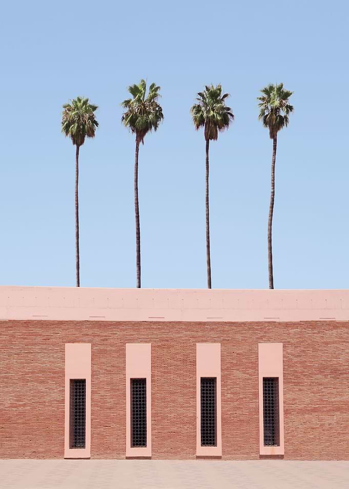 Palm Tree Factory