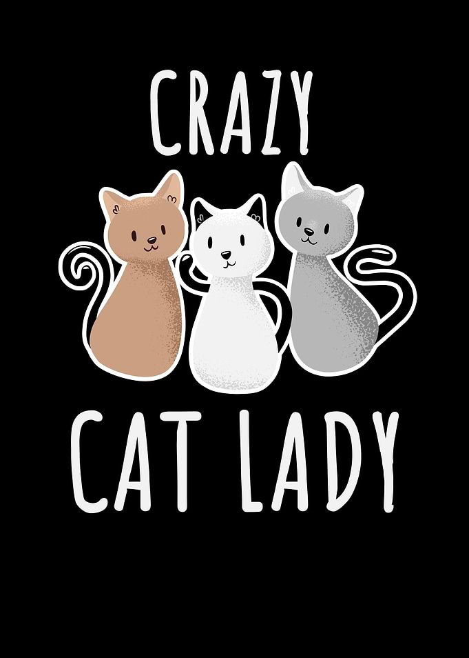 Crazy Cat Lady