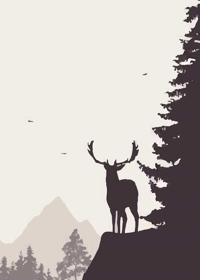 Flat Deer