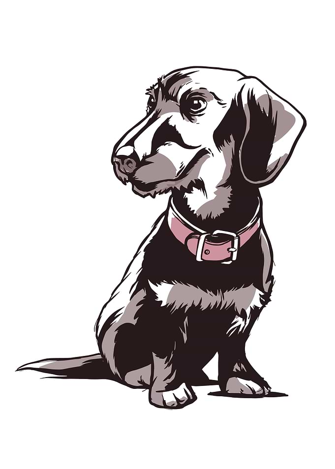 Dwarf Dachshunds Cute Gift