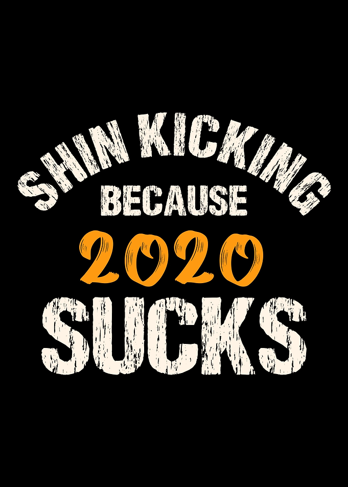 Shin Kicking
