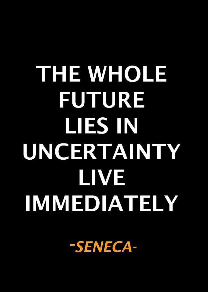 Seneca Qoute